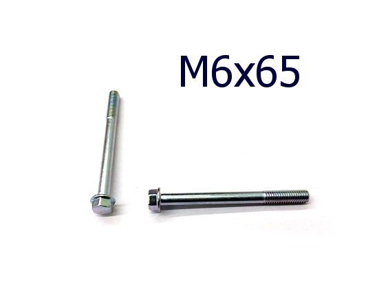 Šroub M6x65 SUZUKI RM85 00-19