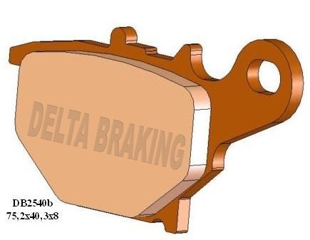 Brzdové destičky zadní Delta Braking SUZUKI RM85 05-19