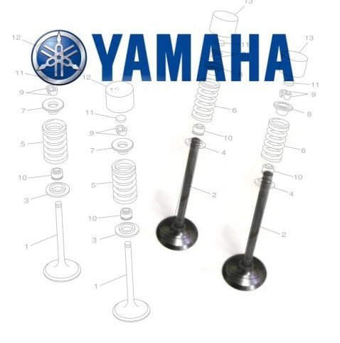 Ventil výfukový YAMAHA WR450F 16-20