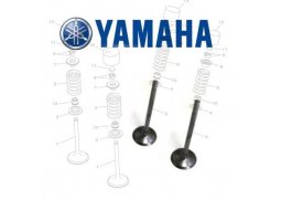 Ventil výfukový YAMAHA YZ450F 10-13